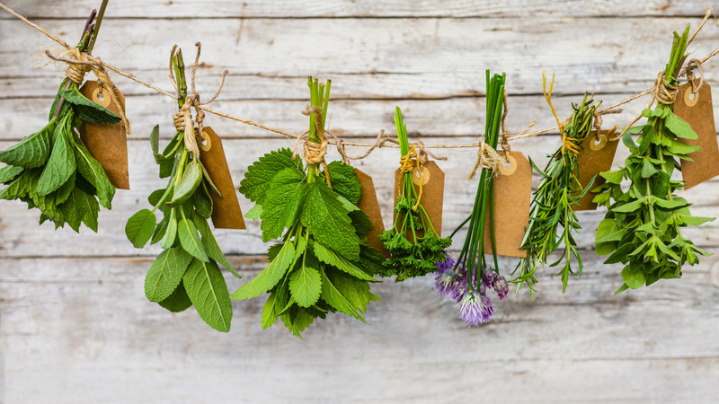 Naturopathie médecine naturelle : Les bienfaits des plantes : exemples de pathologies traitées, utilisations et posologies