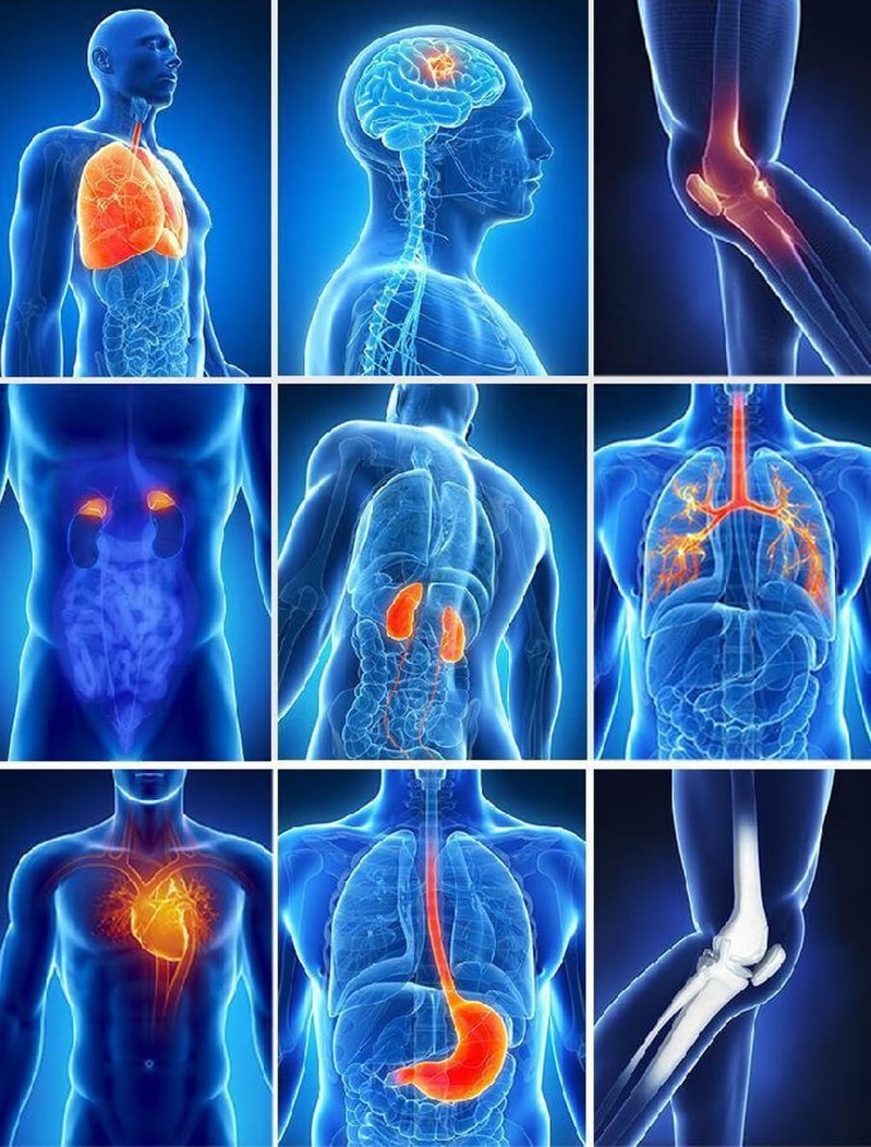 COVID LONG et autres Pathologies : Vers la Guérison et l'Équilibre naturel: La Puissance de la Naturopathie et de la Biorésonance à Distance