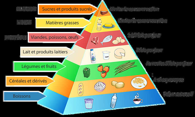 Les Valeurs Nutritionnelles des Aliments et les Bienfaits des Différents Ingrédients