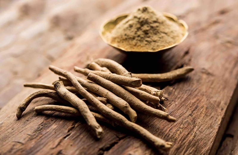 🌿 Zoom sur l’Ashwagandha : La Plante Adaptogène du Moment 🌟