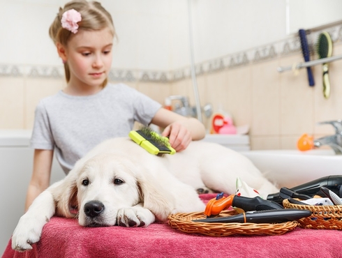 🐾 Les Soins Gériatriques des Animaux : Un Accompagnement Essentiel pour Nos Compagnons Âgés 🌟