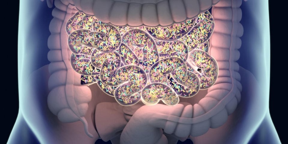 Diabète et microbiote intestinal : Comment la santé de ton intestin influence ta glycémie ?