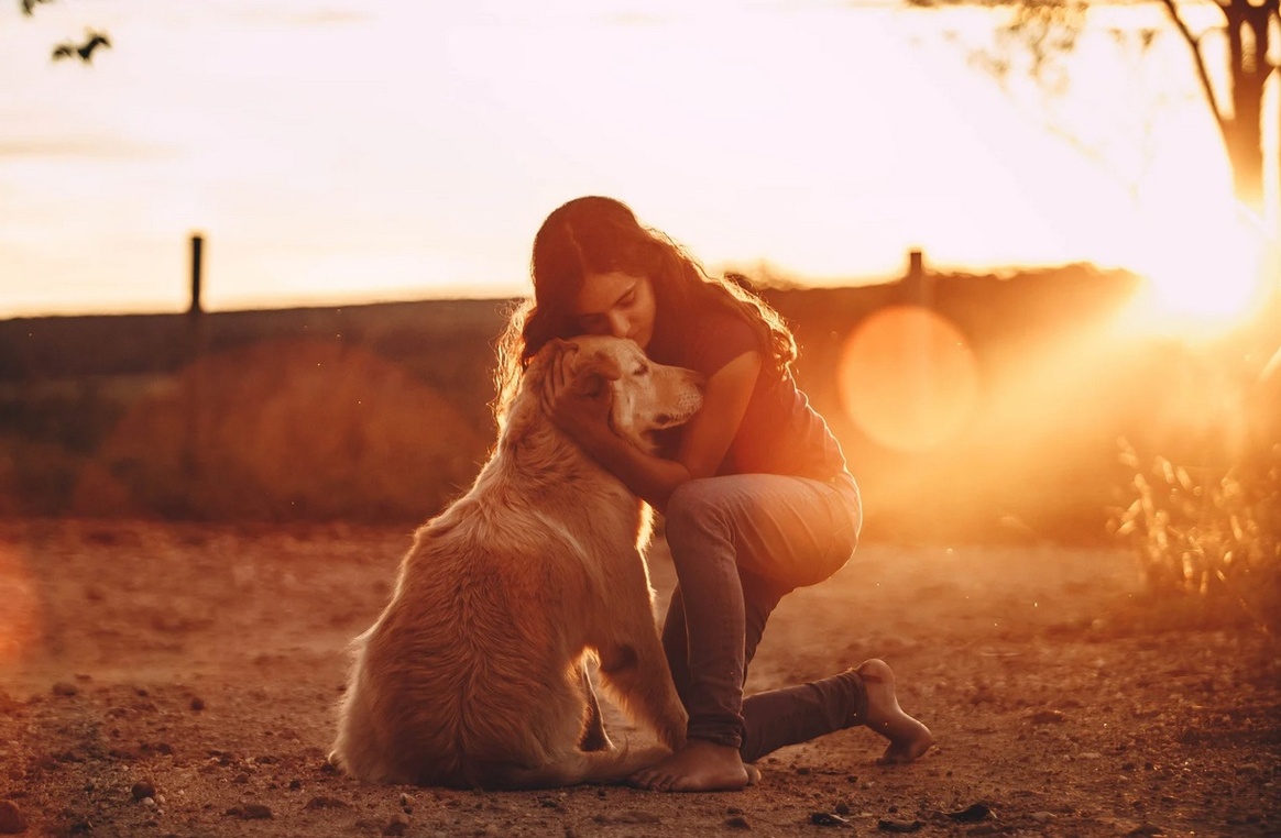 🐶  L'amour canin décrypté : découvrez ce que vous dit votre compagnon à quatre pattes.