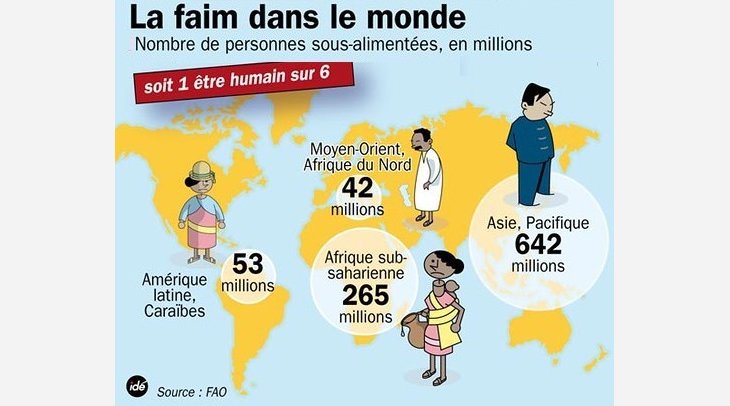 La Crise Alimentaire Mondiale : Un Défi Urgent à Relever 🌍