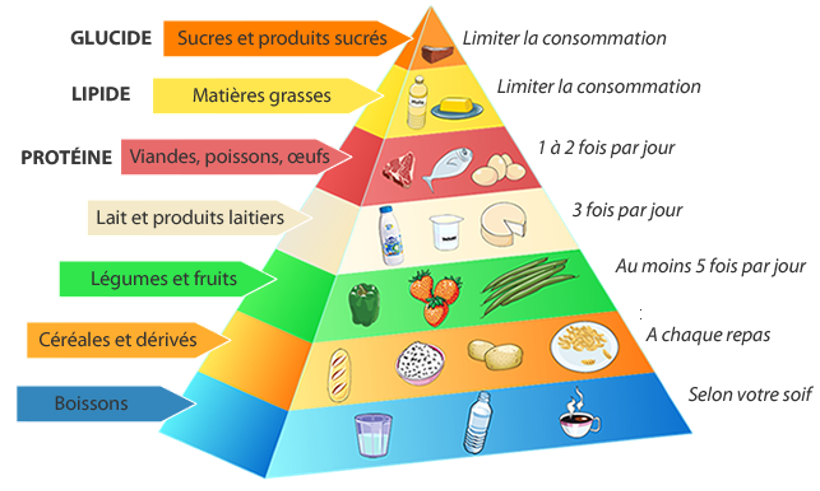 Les Valeurs Nutritionnelles des Aliments et les Bienfaits des Différents Ingrédients