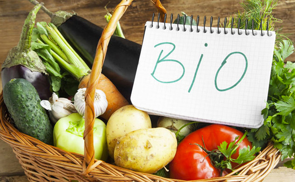 🌱 L'Impact des Aliments Bio sur la Santé et l'Environnement 🌍